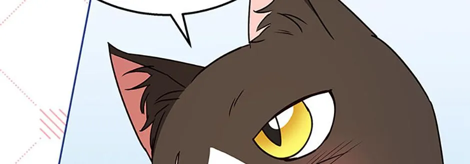 Hello! Veterinarian! Chapter 78 page 64 - 