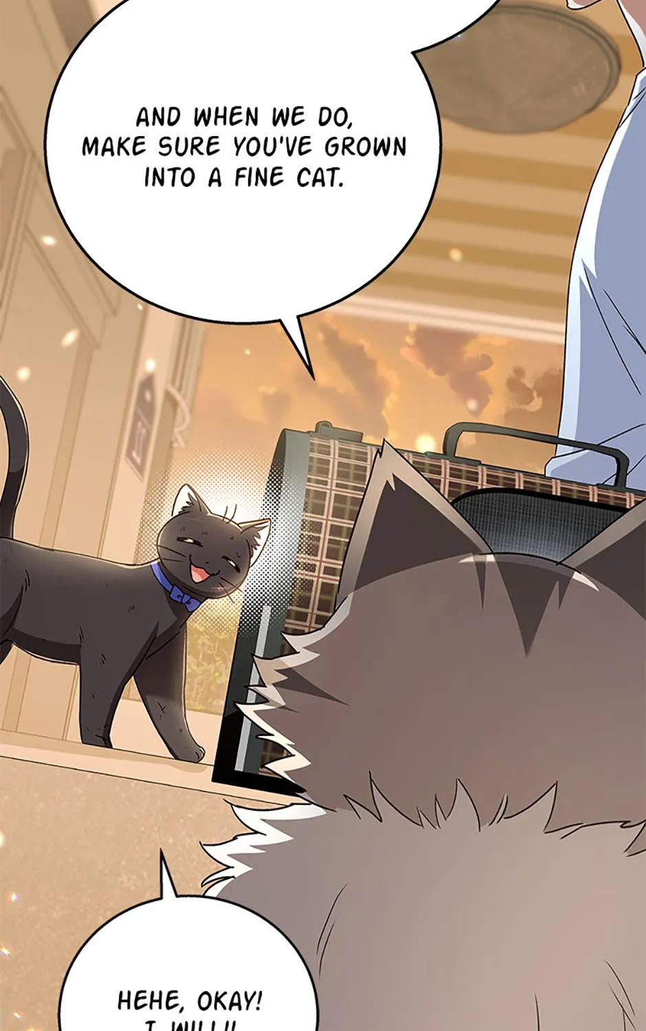 Hello! Veterinarian! Chapter 78 page 69 - 