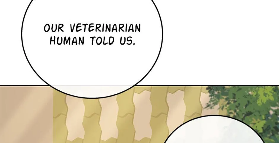 Hello! Veterinarian! Chapter 78 page 10 - 
