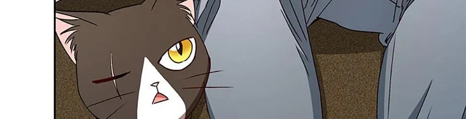 Hello! Veterinarian! Chapter 79 page 16 - 