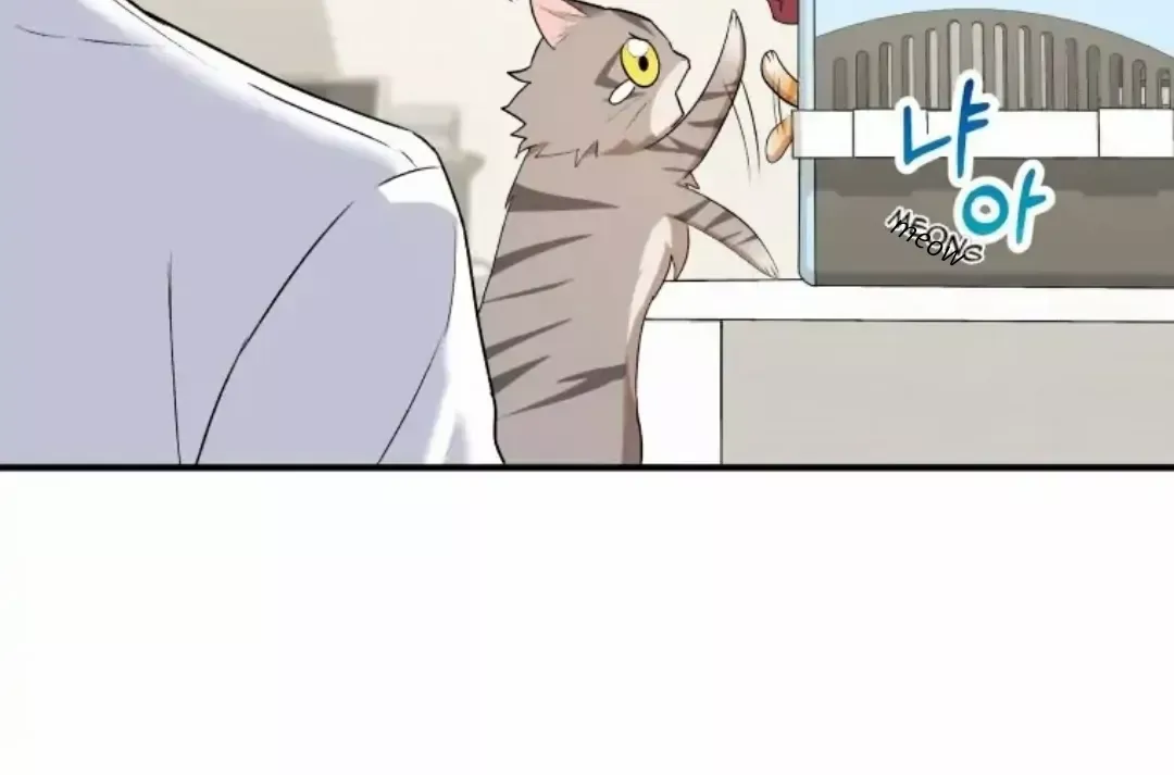 Hello! Veterinarian! Chapter 8 page 98 - 