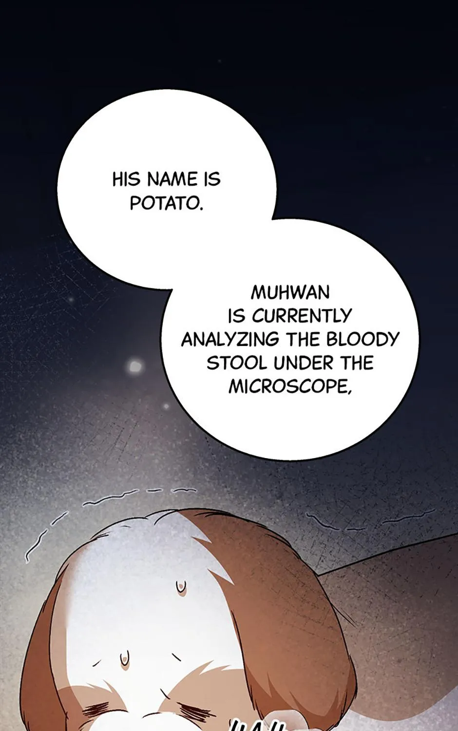 Hello! Veterinarian! Chapter 80 page 1 - 