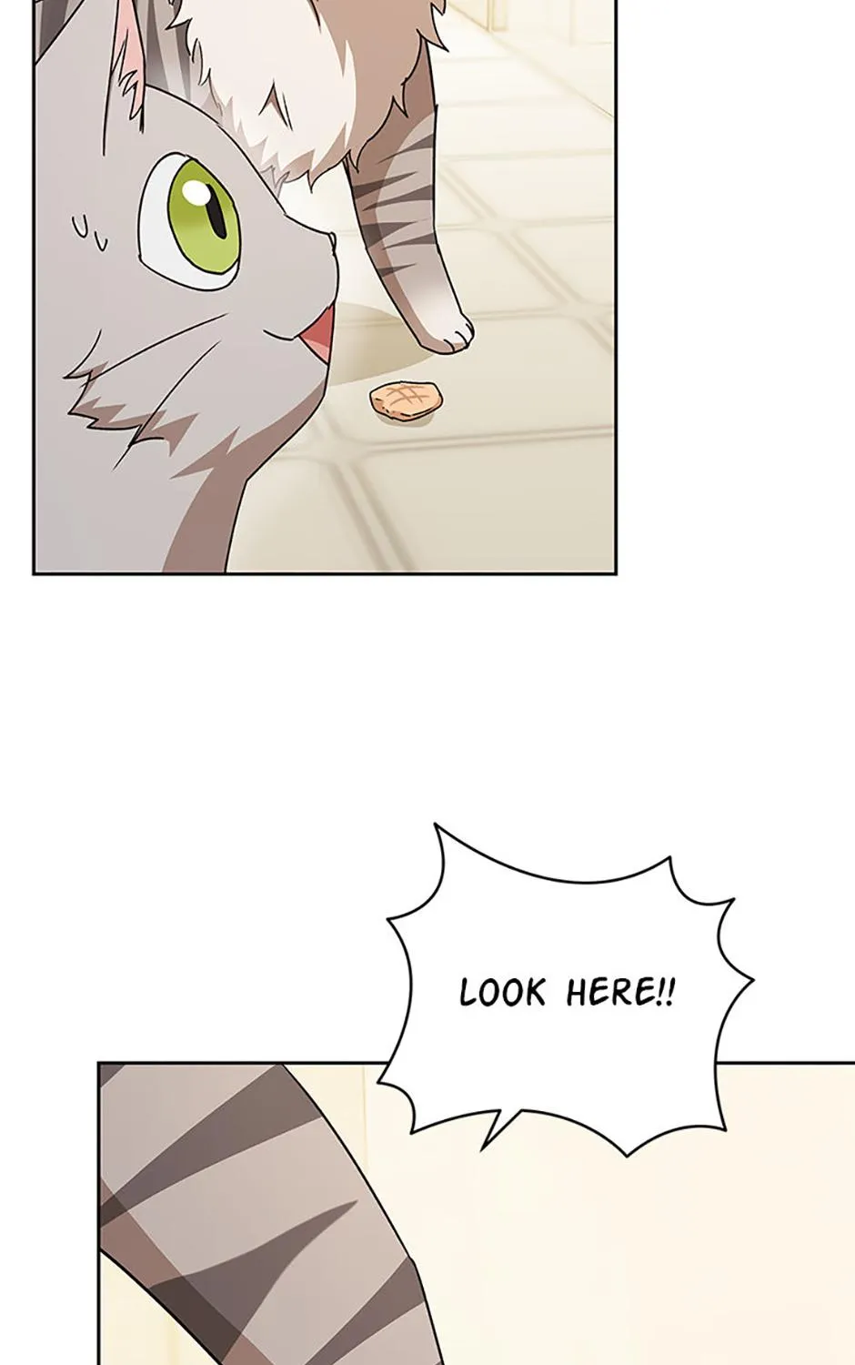 Hello! Veterinarian! Chapter 81 page 126 - 