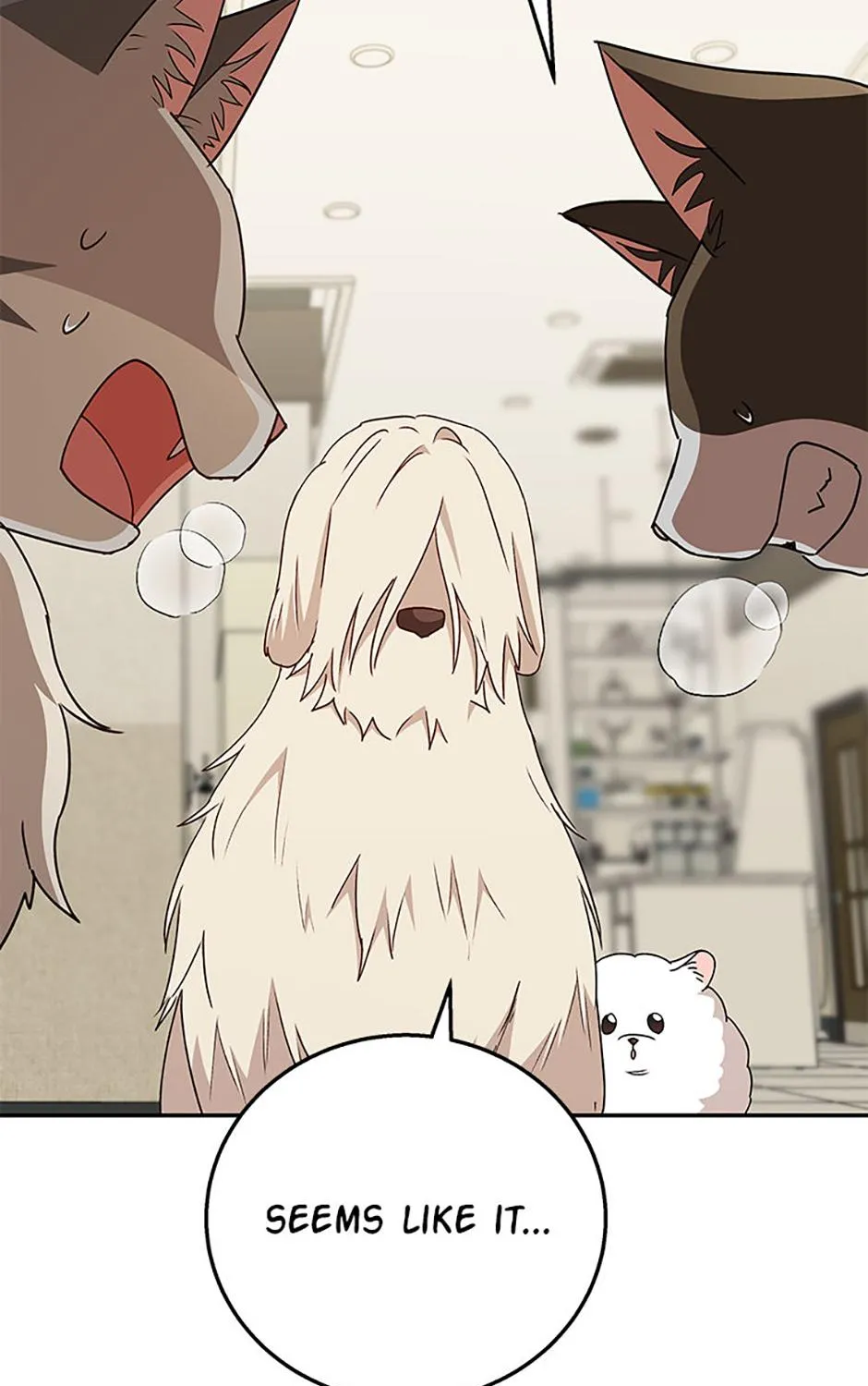 Hello! Veterinarian! Chapter 81 page 142 - 