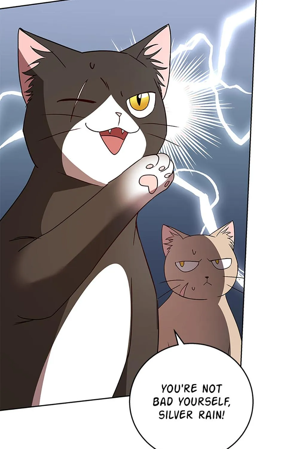 Hello! Veterinarian! Chapter 81 page 146 - 