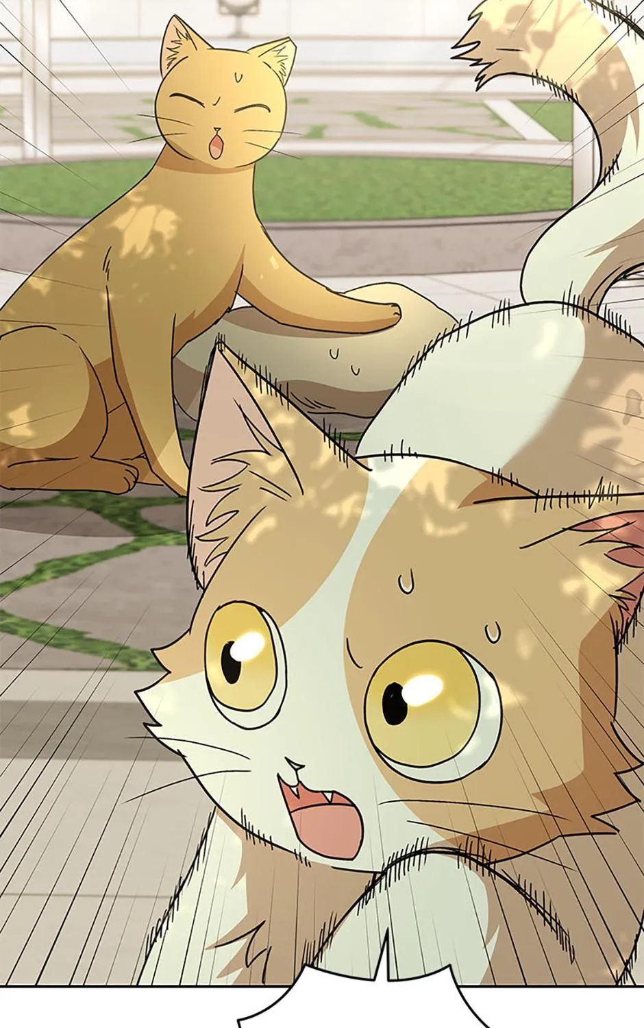 Hello! Veterinarian! Chapter 81 page 56 - 