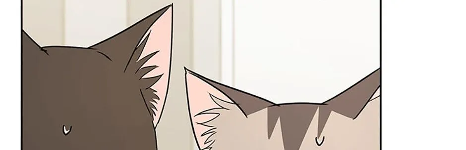Hello! Veterinarian! Chapter 82 page 39 - 