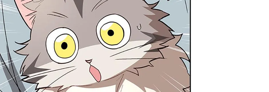 Hello! Veterinarian! Chapter 83 page 74 - 