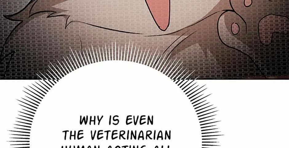 Hello! Veterinarian! Chapter 83 page 88 - 