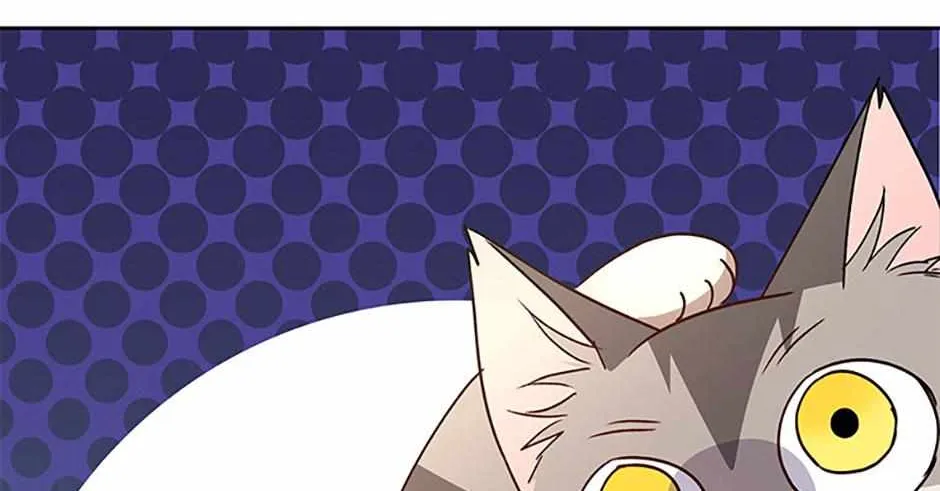Hello! Veterinarian! Chapter 84 page 114 - 