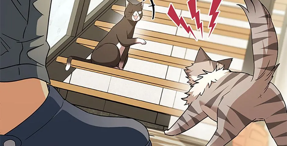 Hello! Veterinarian! Chapter 84 page 60 - 