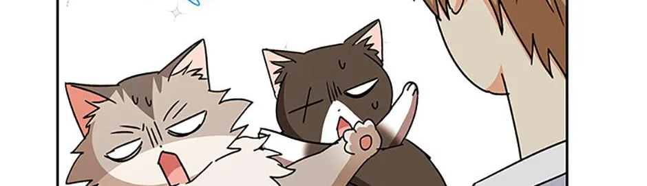 Hello! Veterinarian! Chapter 85 page 152 - 