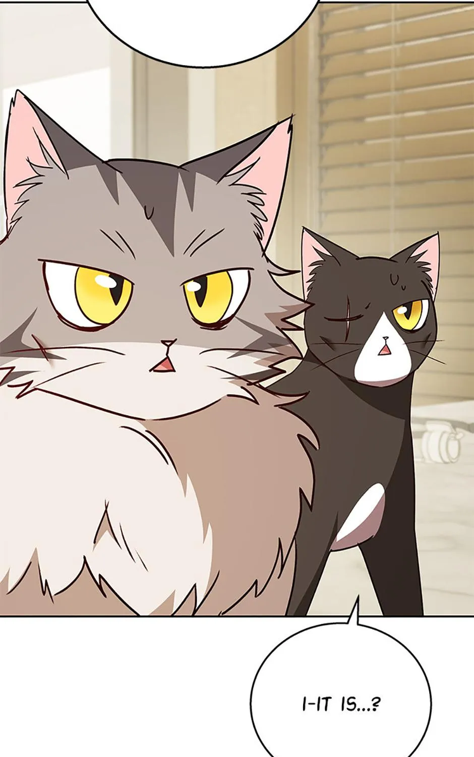 Hello! Veterinarian! Chapter 85 page 163 - 