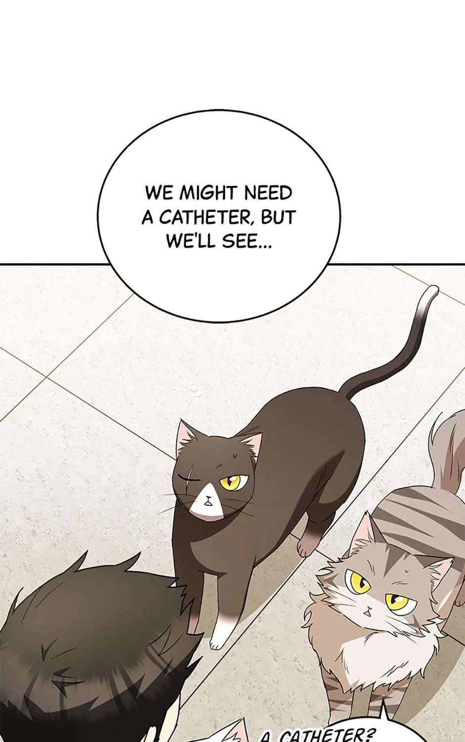 Hello! Veterinarian! Chapter 85 page 95 - 