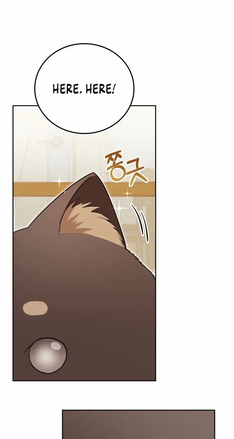 Hello! Veterinarian! Chapter 87 page 14 - 