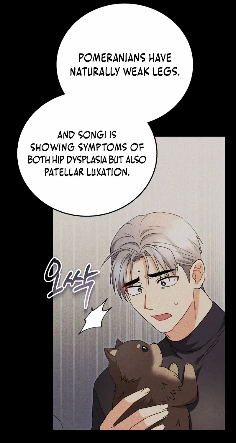 Hello! Veterinarian! Chapter 87 page 26 - 