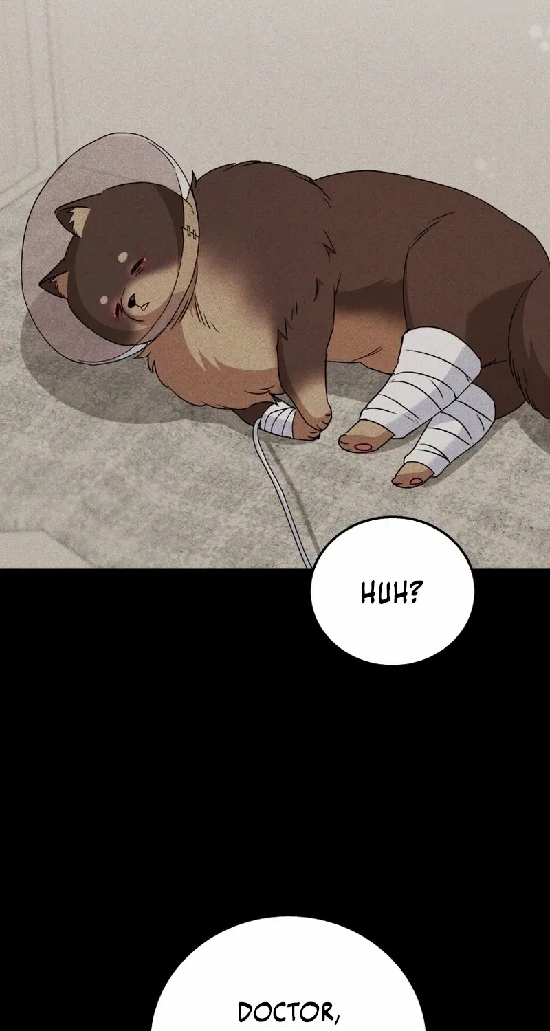 Hello! Veterinarian! Chapter 87 page 32 - 