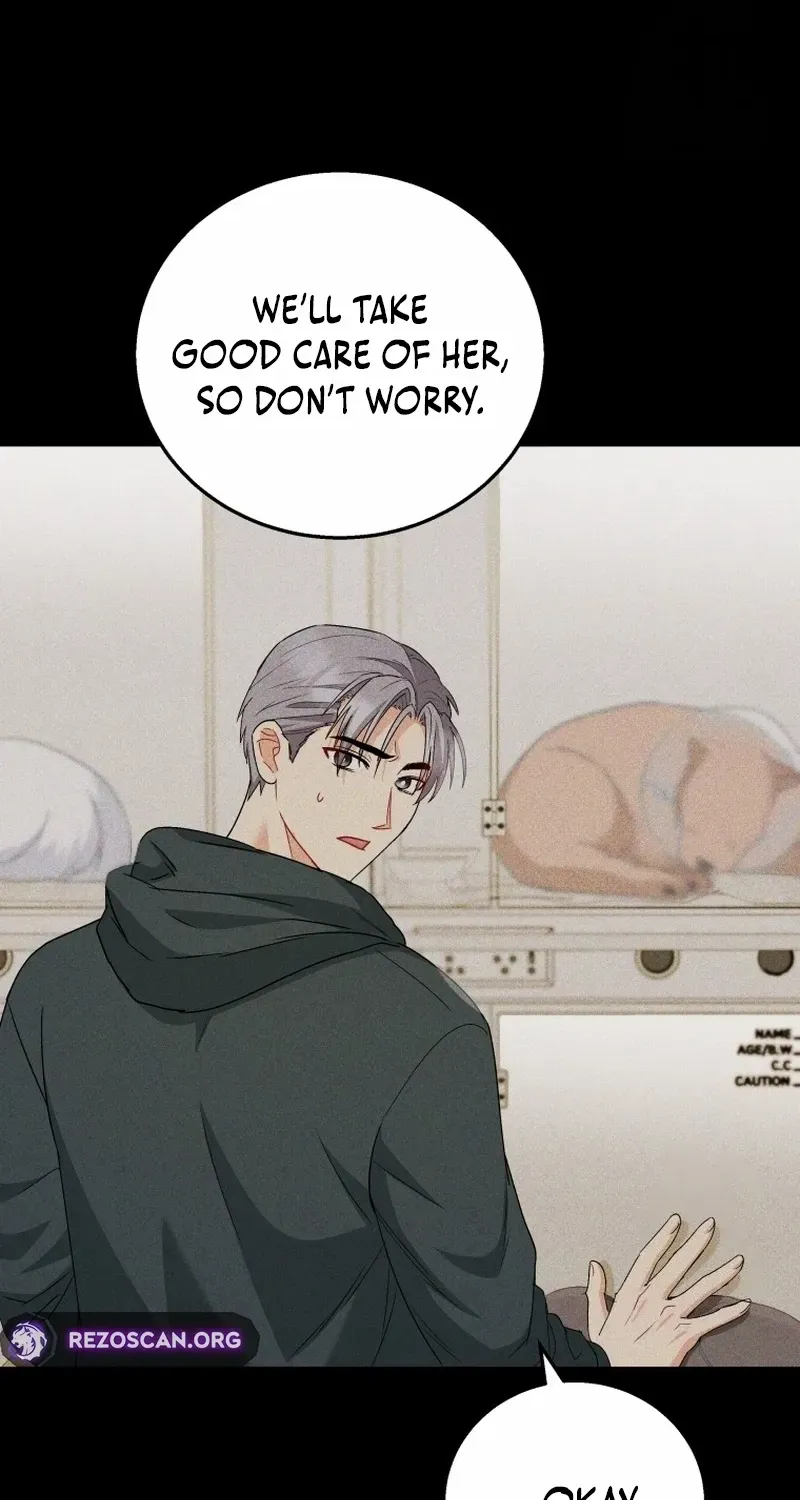 Hello! Veterinarian! Chapter 87 page 35 - 