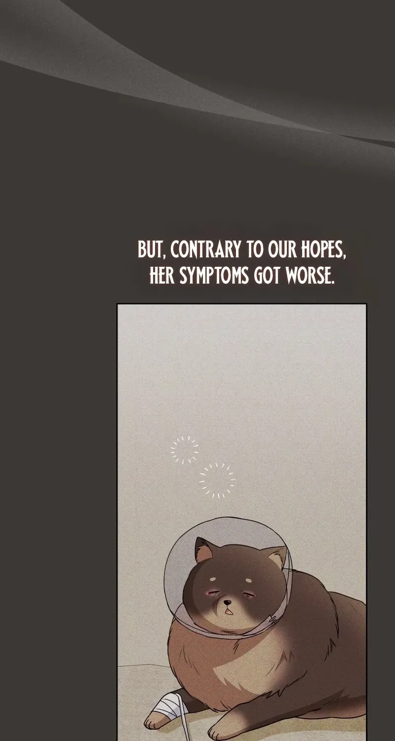 Hello! Veterinarian! Chapter 87 page 37 - 