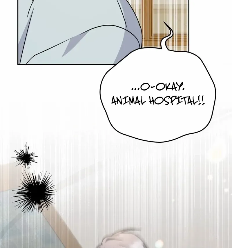 Hello! Veterinarian! Chapter 87 page 88 - 
