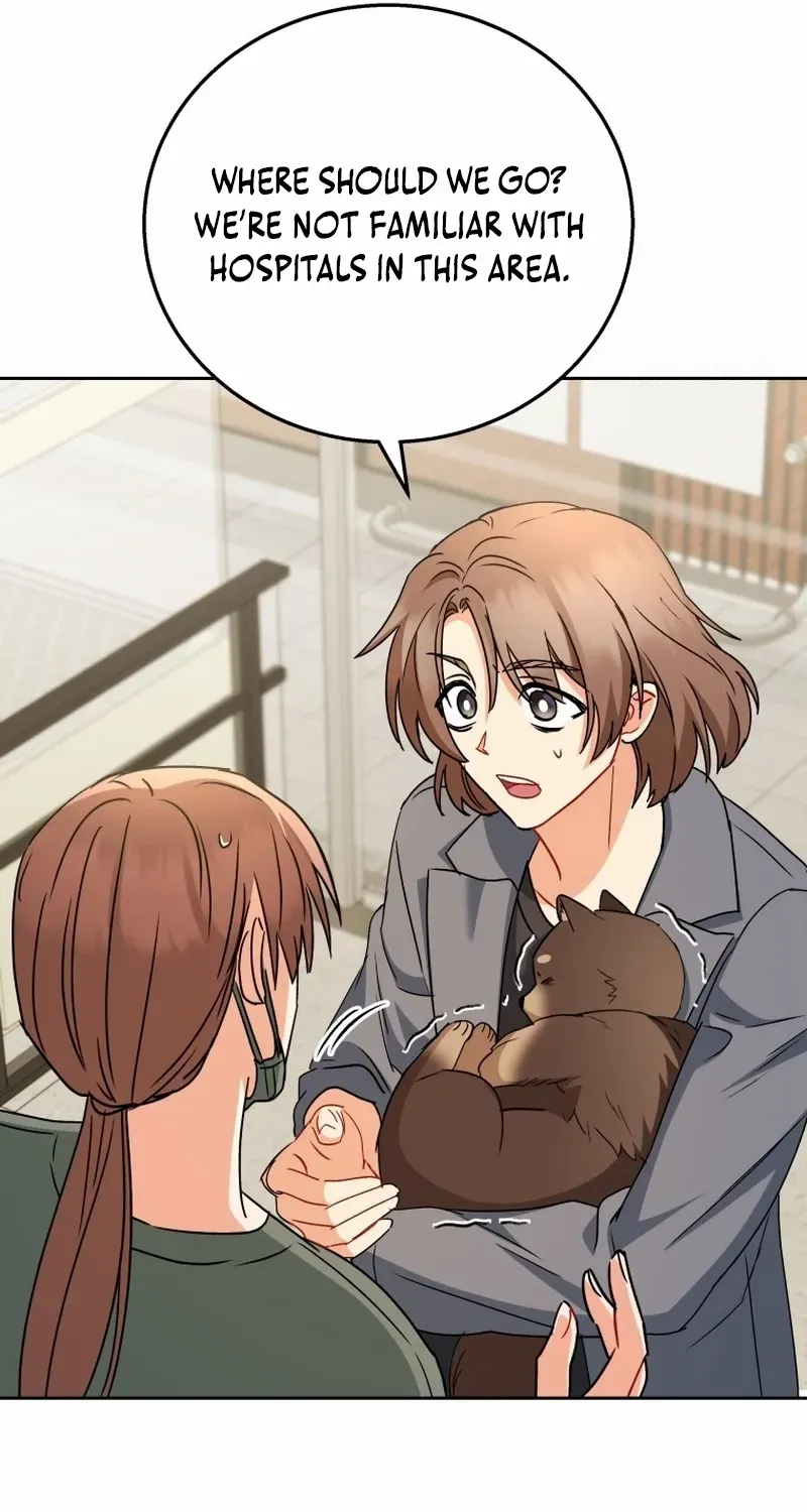 Hello! Veterinarian! Chapter 87 page 98 - 
