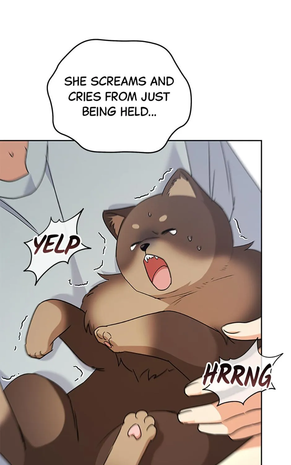Hello! Veterinarian! Chapter 88 page 131 - 