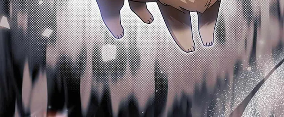 Hello! Veterinarian! Chapter 88 page 88 - 