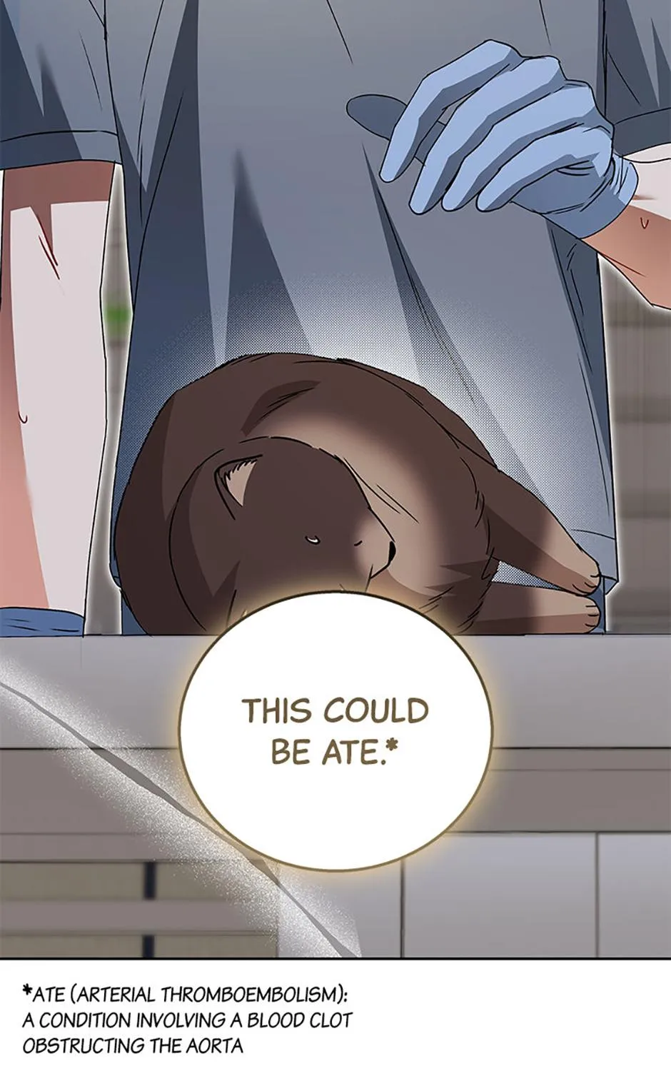 Hello! Veterinarian! Chapter 89 page 35 - 