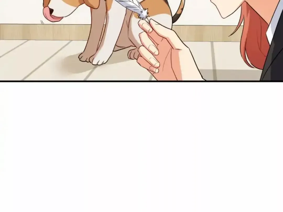 Hello! Veterinarian! Chapter 9 page 31 - 