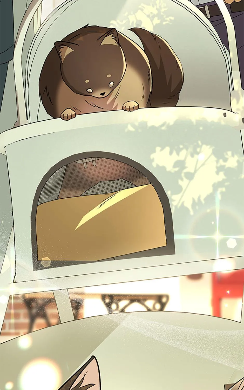 Hello! Veterinarian! Chapter 90 page 153 - 