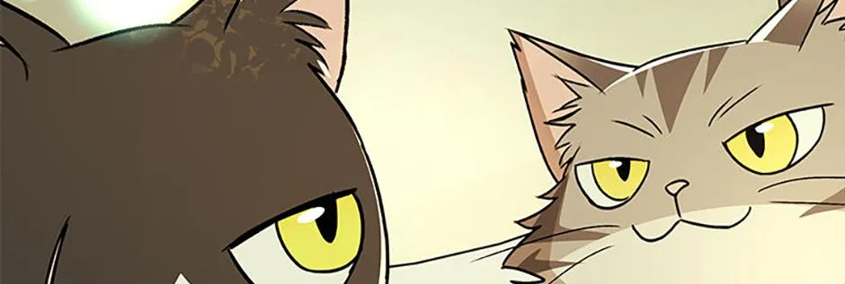Hello! Veterinarian! Chapter 90 page 154 - 