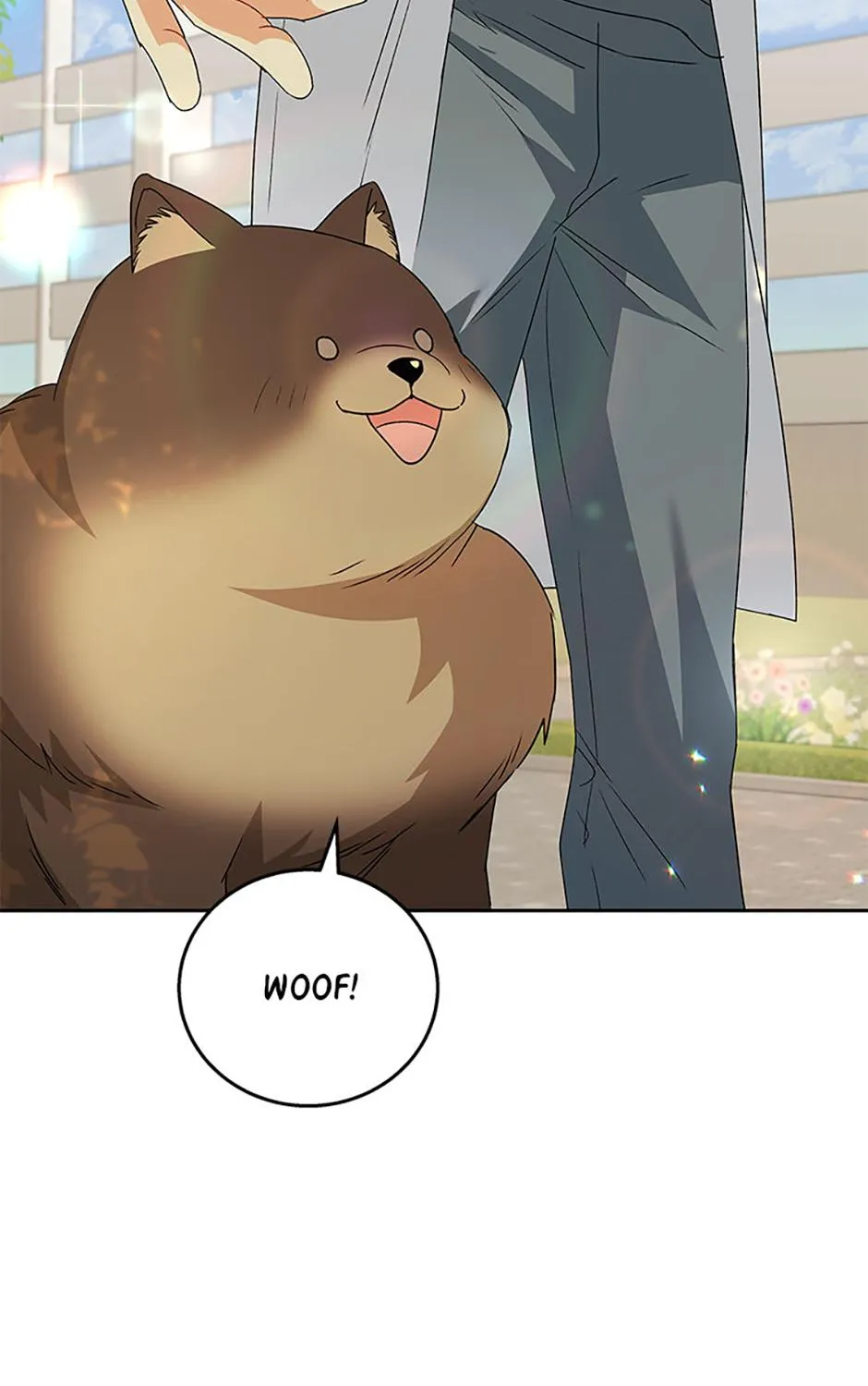 Hello! Veterinarian! Chapter 91 page 104 - 