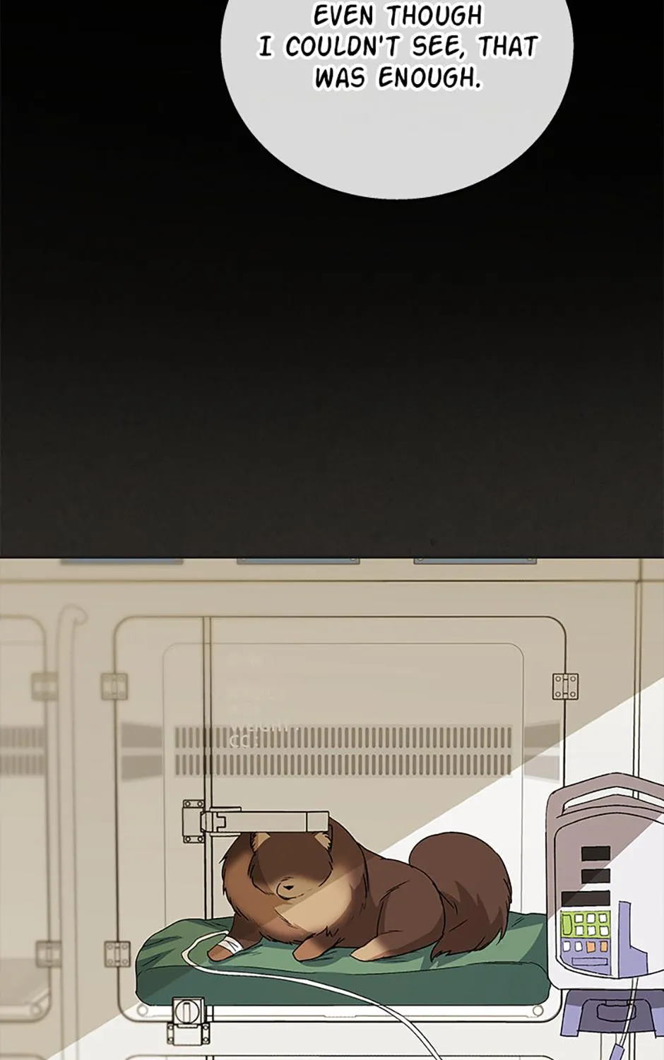 Hello! Veterinarian! Chapter 91 page 12 - 