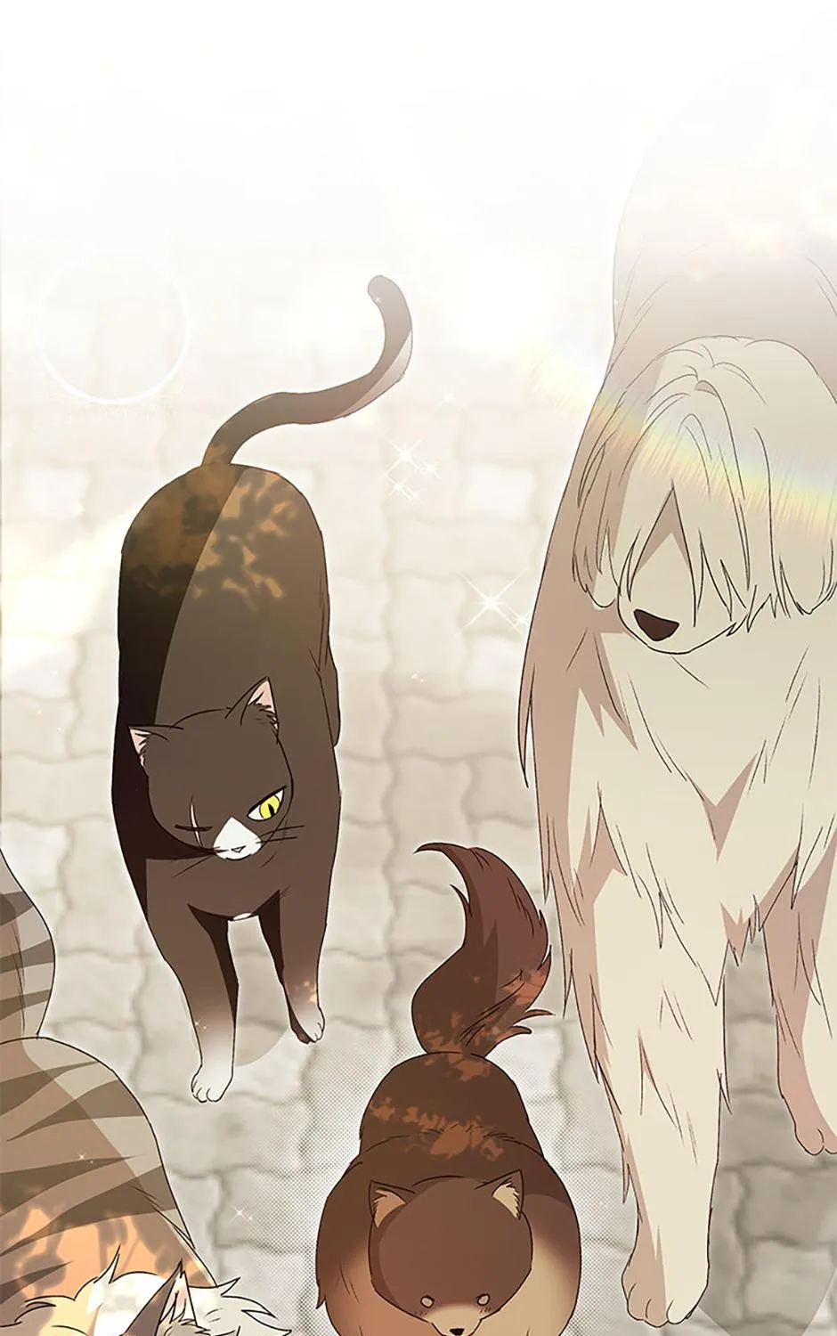 Hello! Veterinarian! Chapter 91 page 112 - 