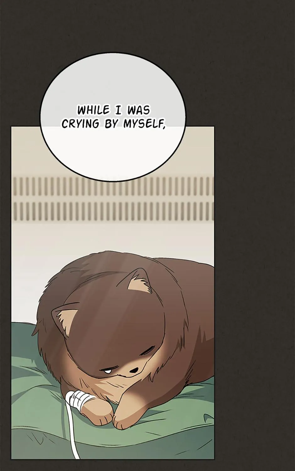Hello! Veterinarian! Chapter 91 page 16 - 