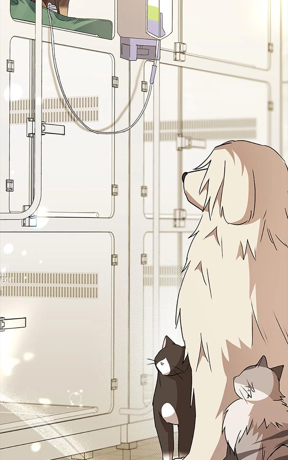 Hello! Veterinarian! Chapter 91 page 22 - 
