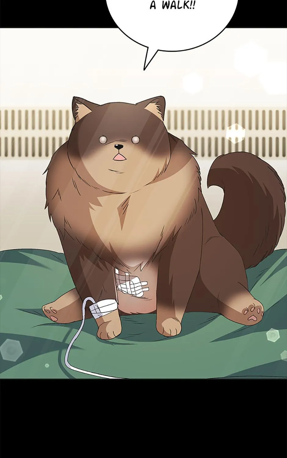 Hello! Veterinarian! Chapter 91 page 4 - 