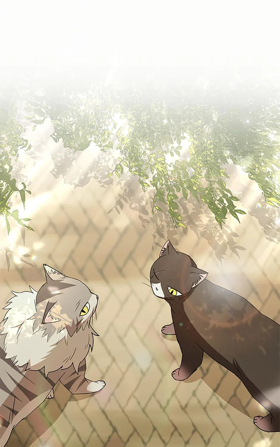 Hello! Veterinarian! Chapter 91 page 50 - 