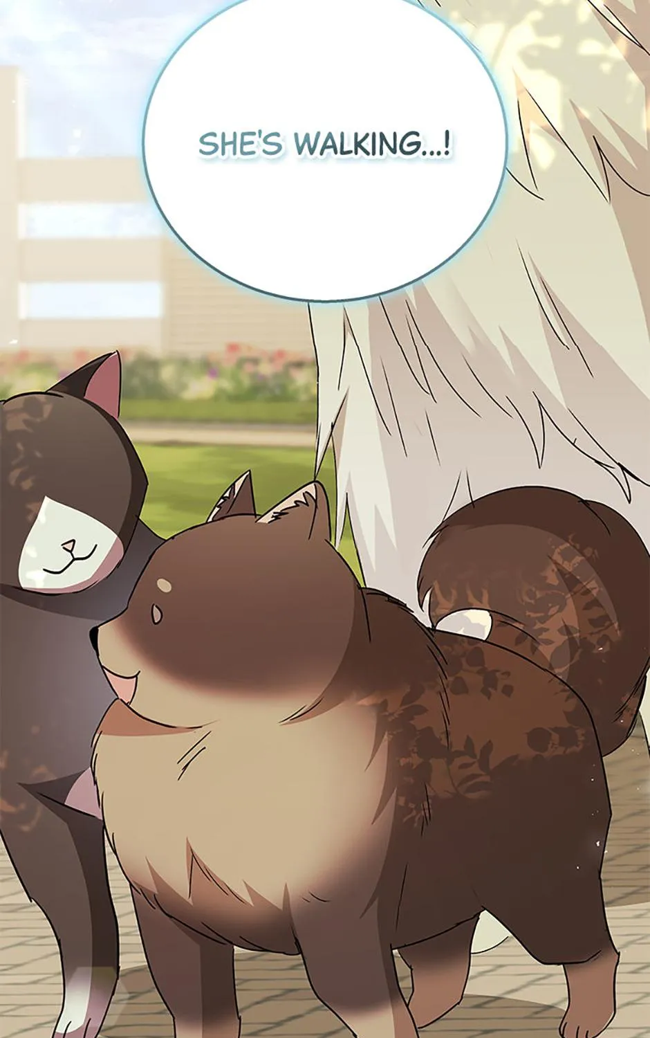 Hello! Veterinarian! Chapter 91 page 82 - 