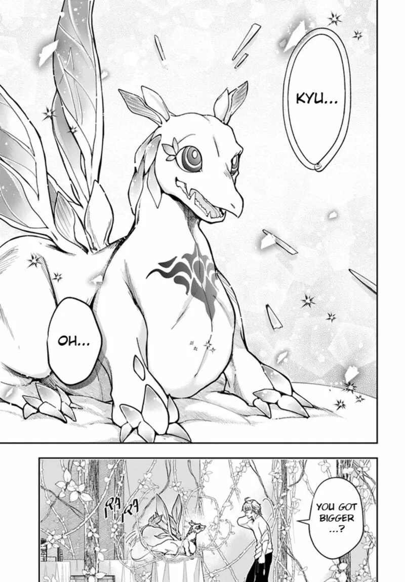 Henkyou no Renkinjutsushi ~Imasara Yosan Zero no Shokuba ni Modoru Toka Mou Muri~ Chapter 23.2 page 12 - 