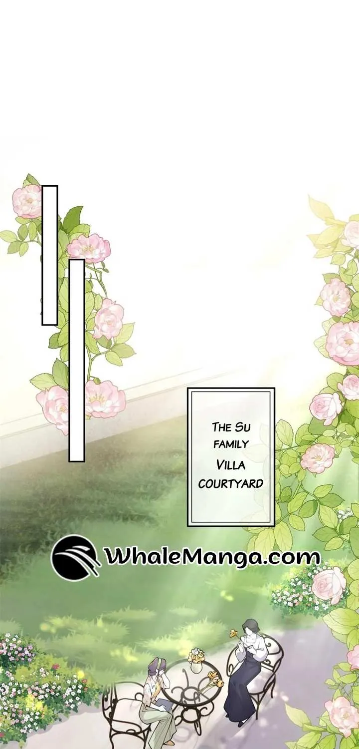 Her Marriage Was Called Off at Daytime, the Cutely Fierce Commander Asked Her For a Hug at Night Chapter 13 page 33 - 