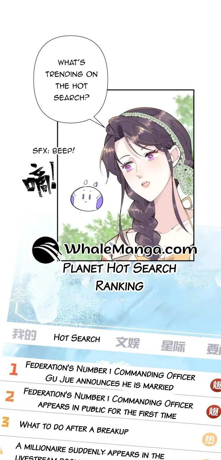 Her Marriage Was Called Off at Daytime, the Cutely Fierce Commander Asked Her For a Hug at Night Chapter 14 page 5 - 