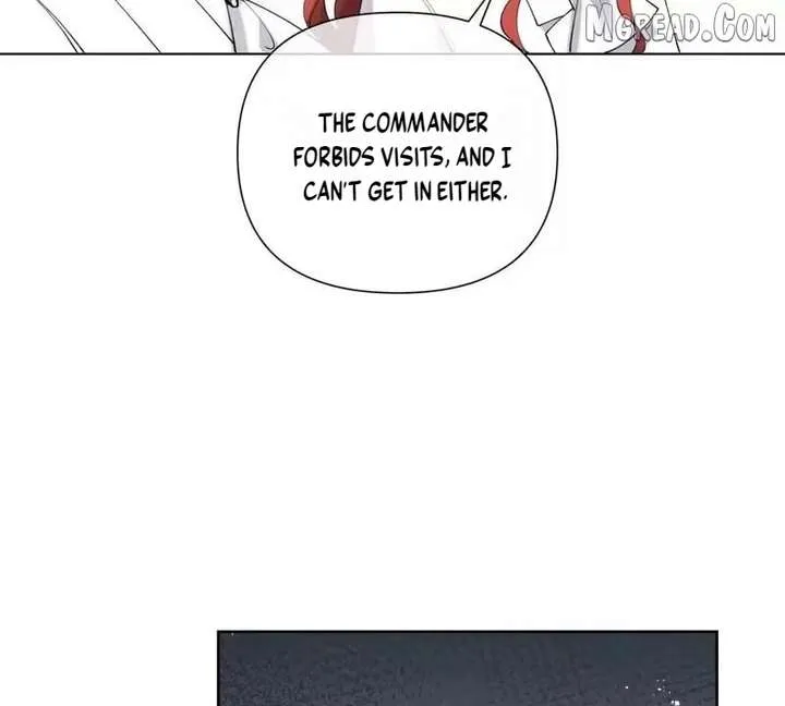 Her Marriage Was Called Off at Daytime, the Cutely Fierce Commander Asked Her For a Hug at Night Chapter 173 page 22 - 