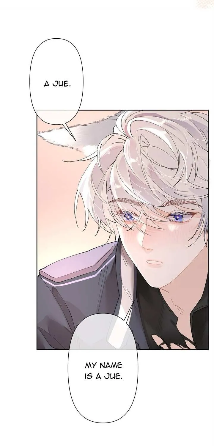 Her Marriage Was Called Off at Daytime, the Cutely Fierce Commander Asked Her For a Hug at Night Chapter 2 page 15 - 