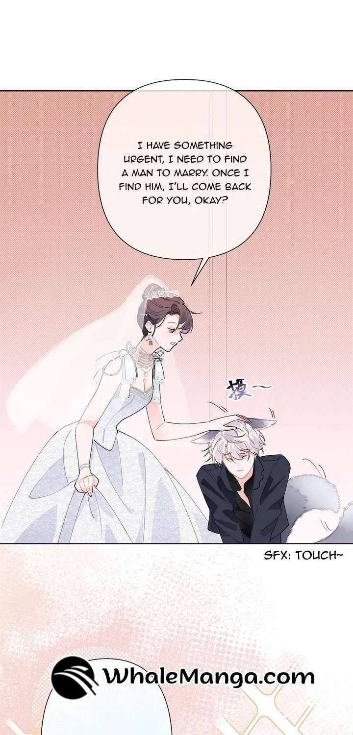 Her Marriage Was Called Off at Daytime, the Cutely Fierce Commander Asked Her For a Hug at Night Chapter 2 page 24 - 