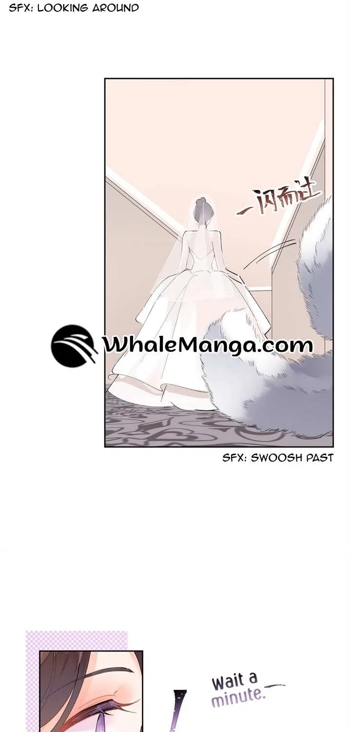 Her Marriage Was Called Off at Daytime, the Cutely Fierce Commander Asked Her For a Hug at Night Chapter 2 page 7 - 