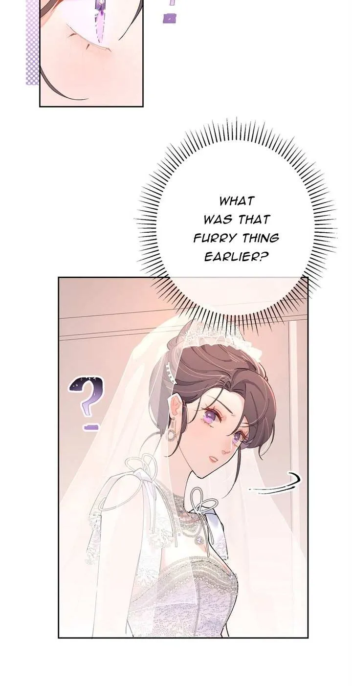 Her Marriage Was Called Off at Daytime, the Cutely Fierce Commander Asked Her For a Hug at Night Chapter 2 page 8 - 
