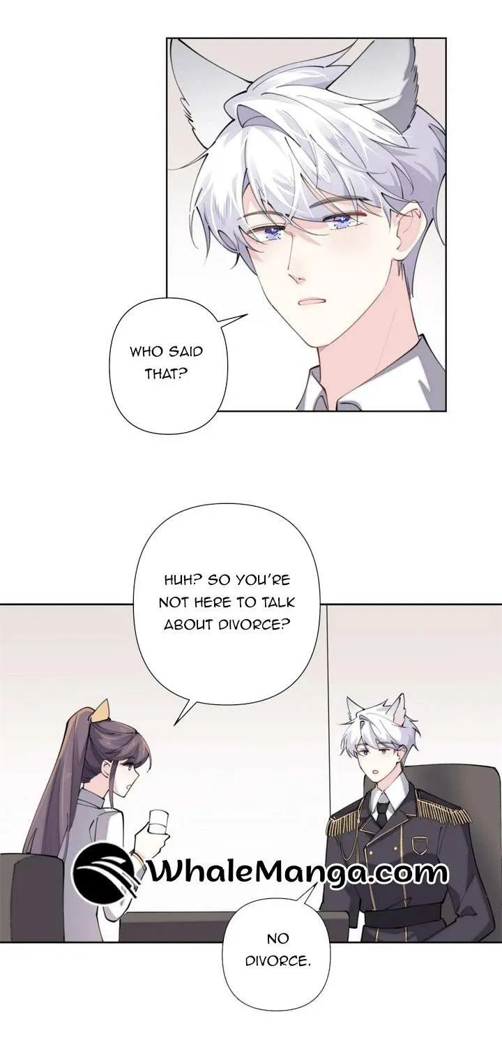 Her Marriage Was Called Off at Daytime, the Cutely Fierce Commander Asked Her For a Hug at Night Chapter 20 page 15 - 
