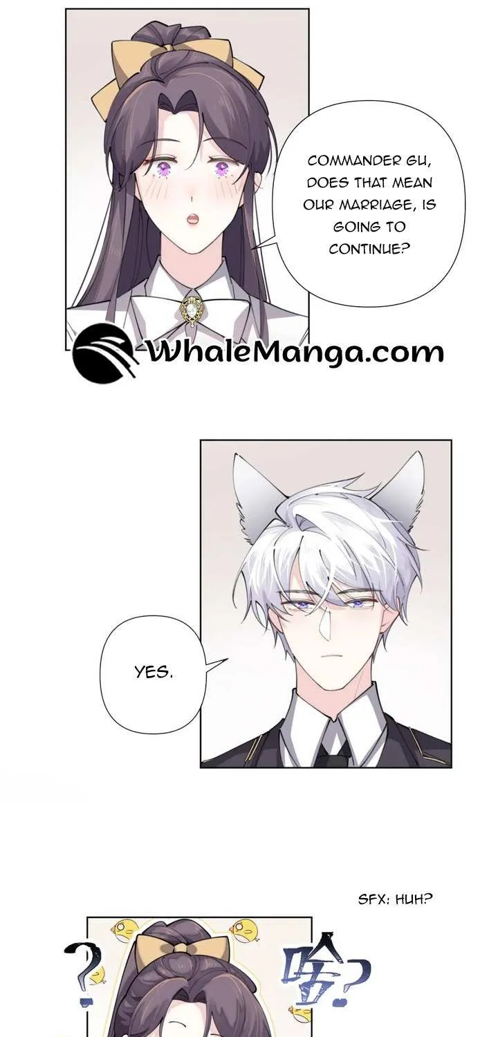 Her Marriage Was Called Off at Daytime, the Cutely Fierce Commander Asked Her For a Hug at Night Chapter 20 page 17 - 