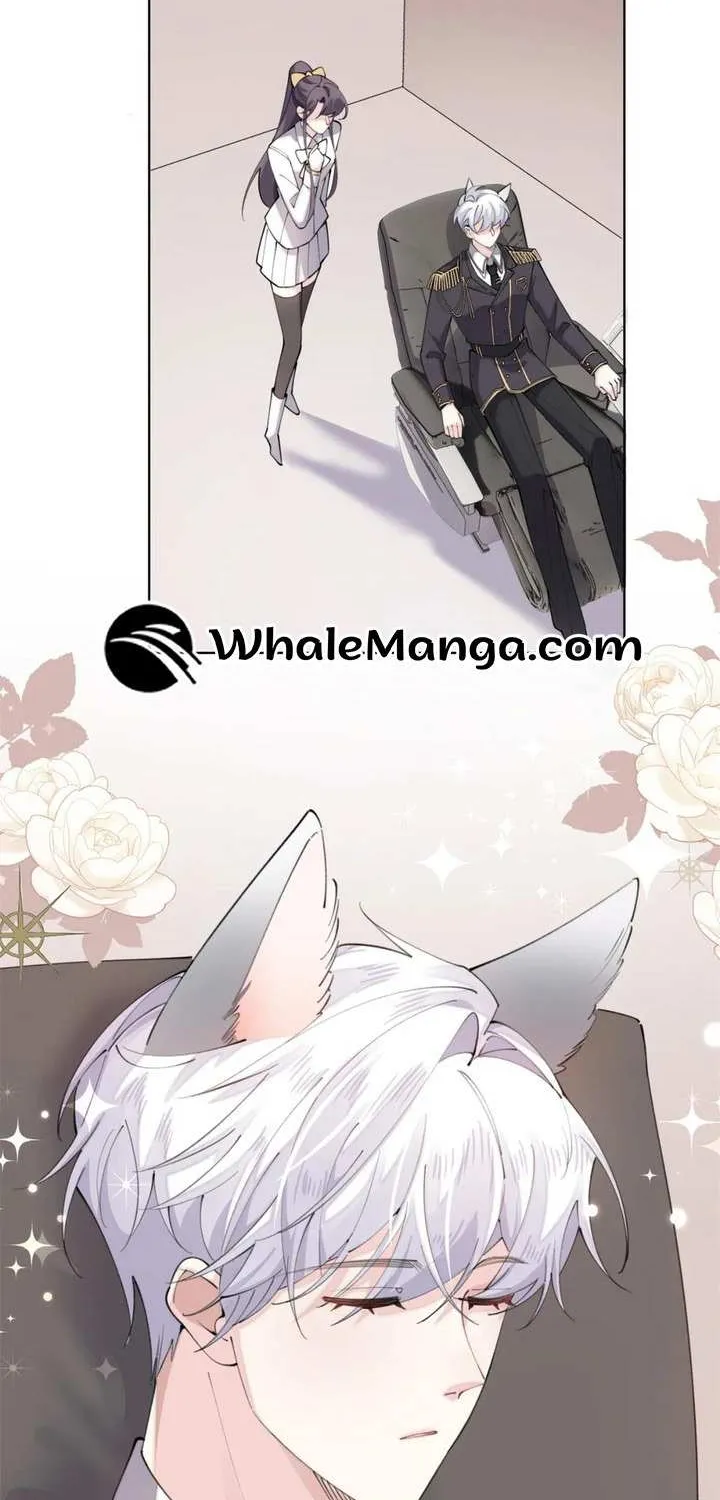 Her Marriage Was Called Off at Daytime, the Cutely Fierce Commander Asked Her For a Hug at Night Chapter 20 page 3 - 